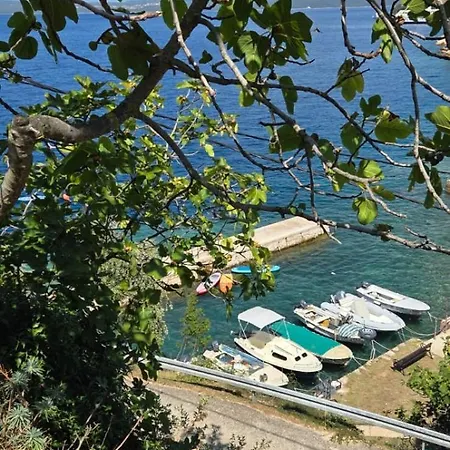 Boto - 20m From The Sea Daire Smergo