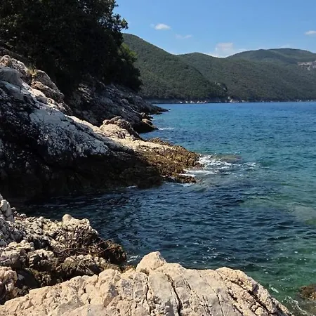 Boto - 20m From The Sea