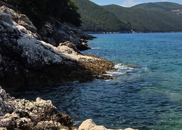 Boto - 20m From The Sea